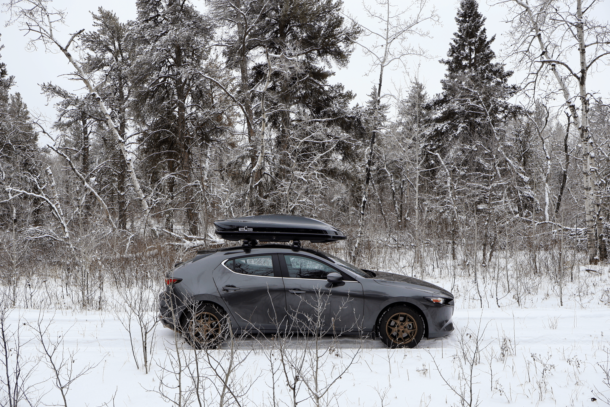 TrailMoose Falcon 81" black roof cargo box on car