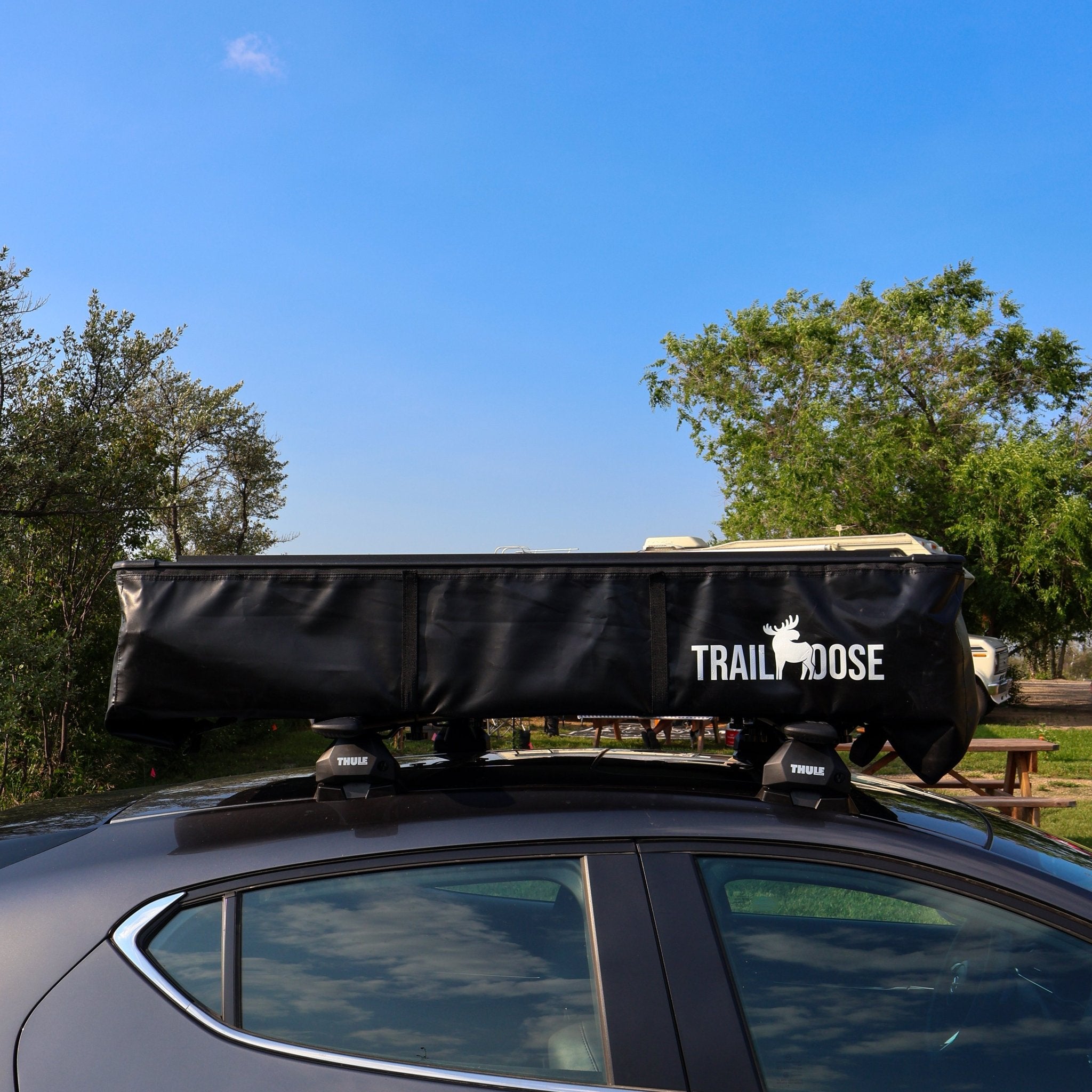 Fold - TrailMooseFold