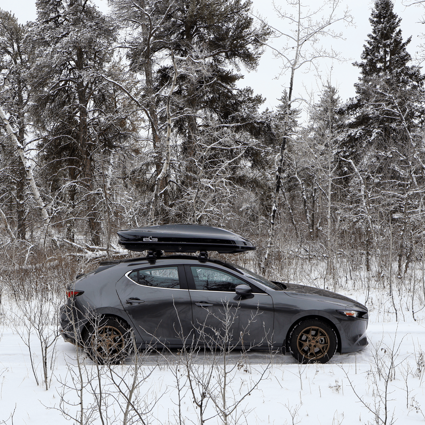 TrailMoose Falcon 81" black roof cargo box on car